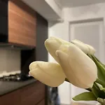Scandiland Apartment