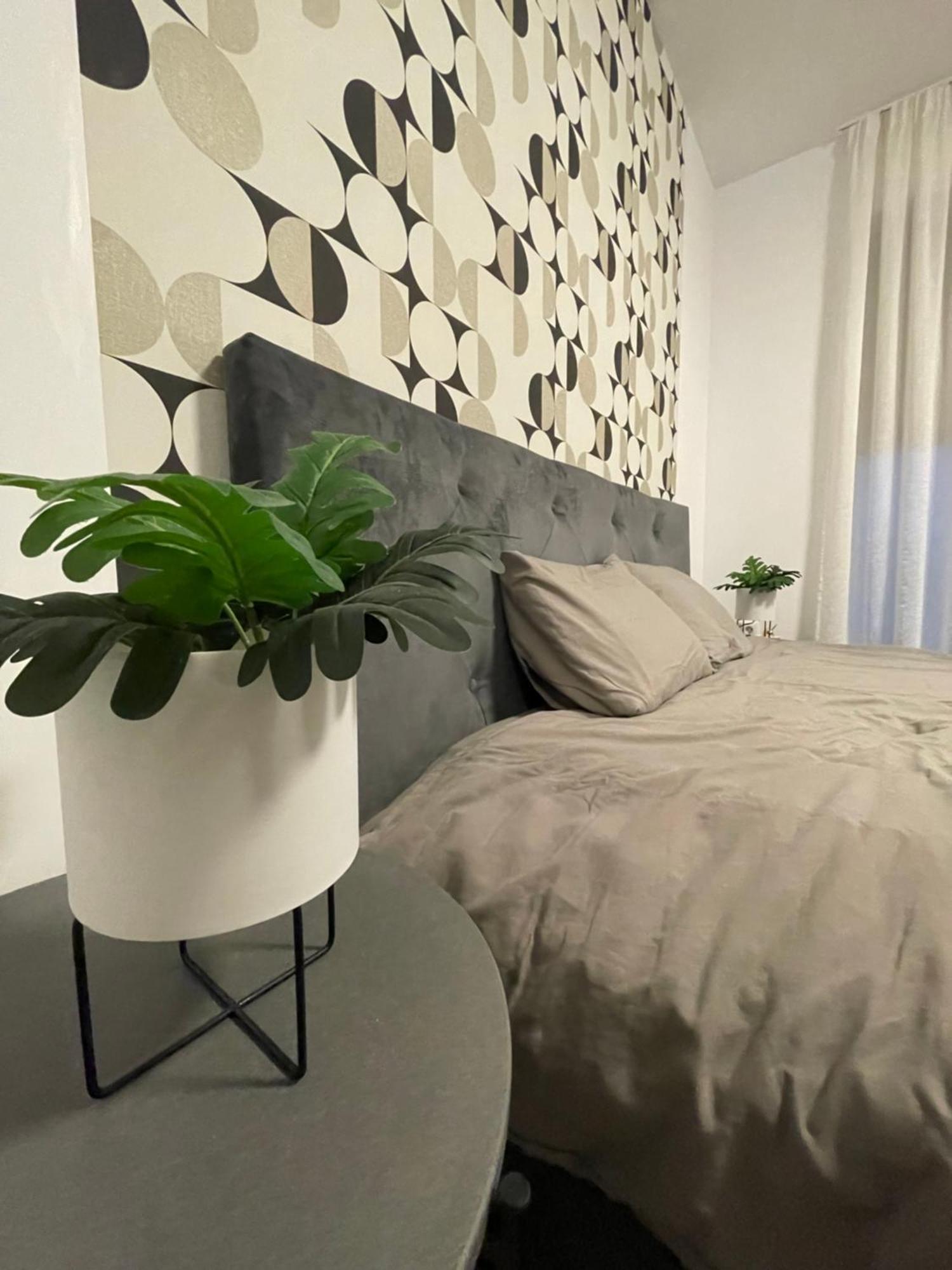 Apartment Scandiland